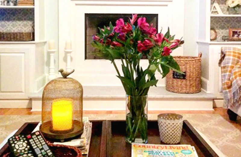 Metal Bird Cloche  Set Of 2