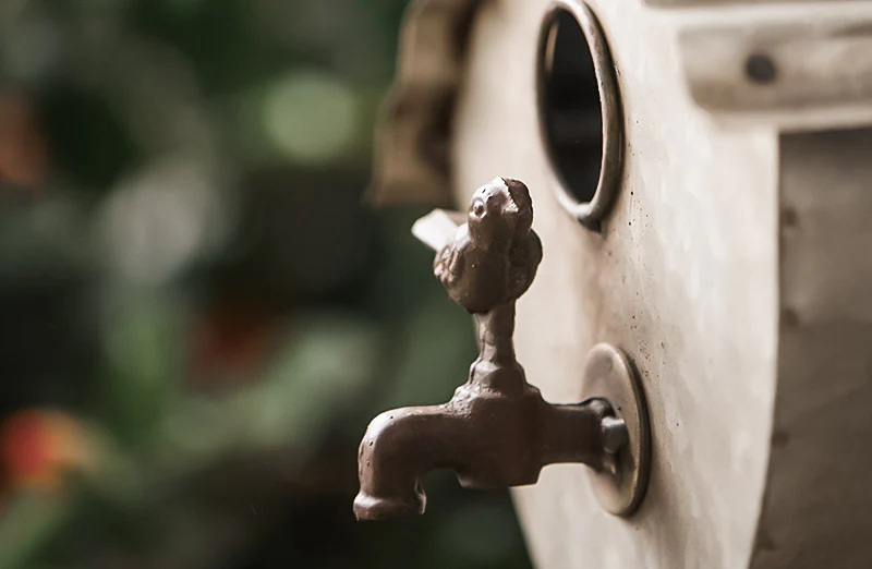 Galvanized Water Spigot Bird House