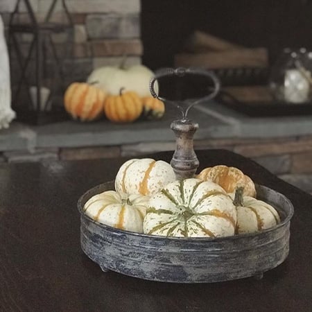 Galvanized Tray With Handle