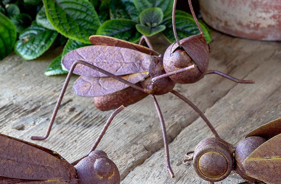 Collected Metal Insects, Set of 3