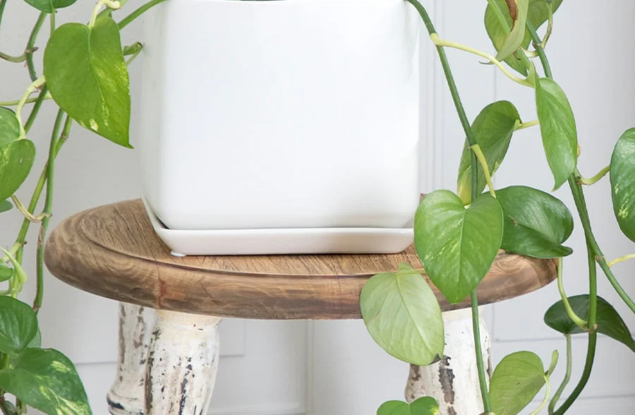 Distressed Wooden Stool