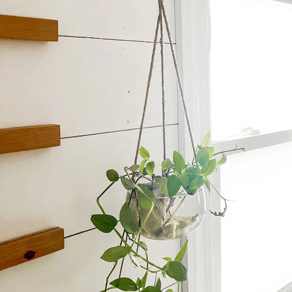 Glass Hanging Planter with Jute Rope