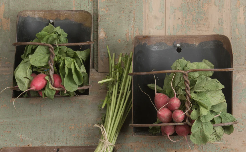 Wall Mounted Grain Feed Scoop Shelf  Set of 3