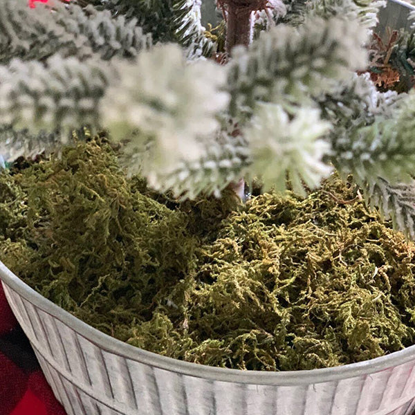 Flocked Winter Pine Tree in Galvanized Bucket