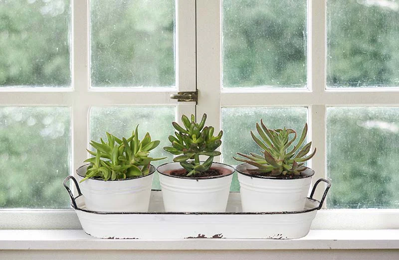 Enamel Planters With Tray  Set of 3