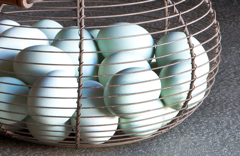 Wire Egg Basket