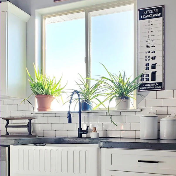 Cast Iron Paper Towel Holder