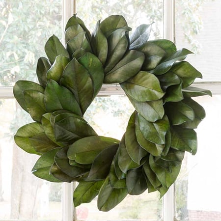 Preserved Magnolia Leaf Wreath