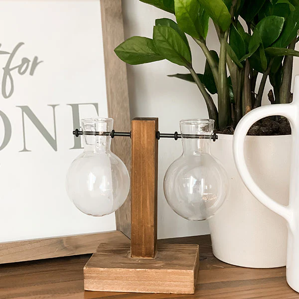 Rustic Bulb Bud Vase Propagation Station, Set of 2