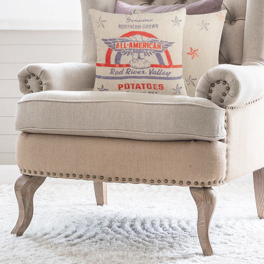 All American Throw Pillow