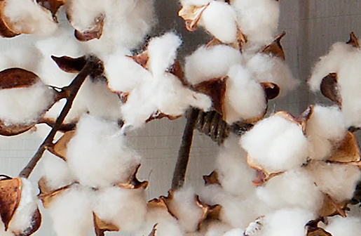 *LARGE* Preserved Cotton Wreath