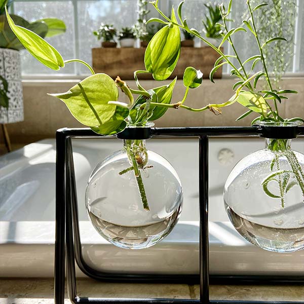Clear Glass Bud Vases with Metal Rack