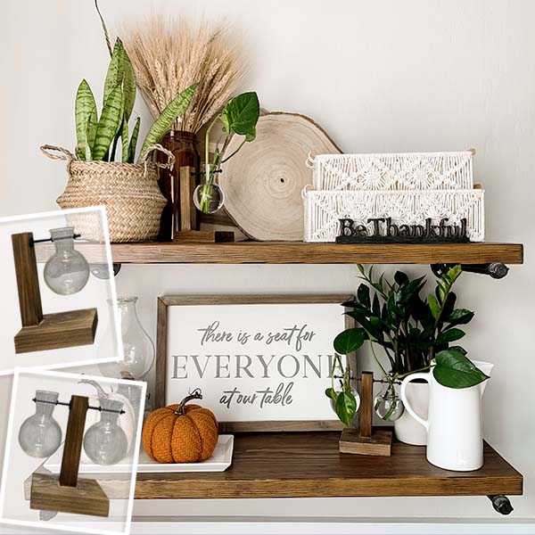 Rustic Bulb Bud Vase Propagation Station, Set of 2