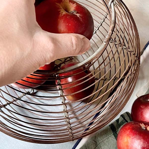 FOUND Metal Wire Egg Basket