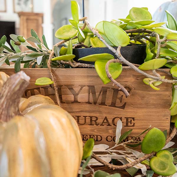 Wall Planters Indoor | Wooden Herb Buckets