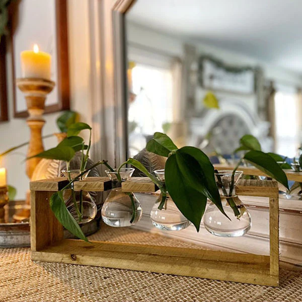 Rustic Wooden Hanging Propagation Station