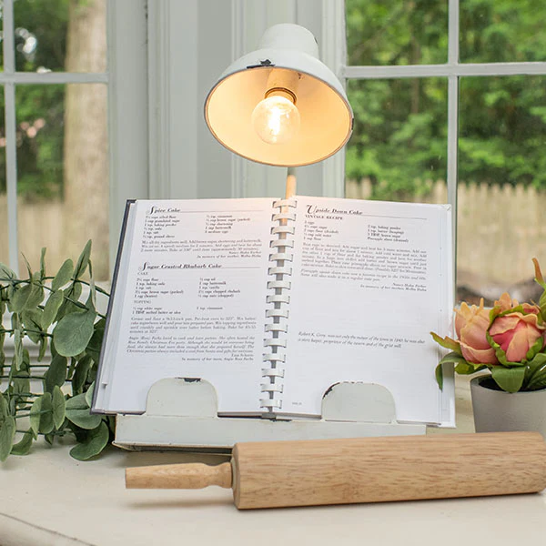 Chippy Enamel Gooseneck Lamp Book Holder
