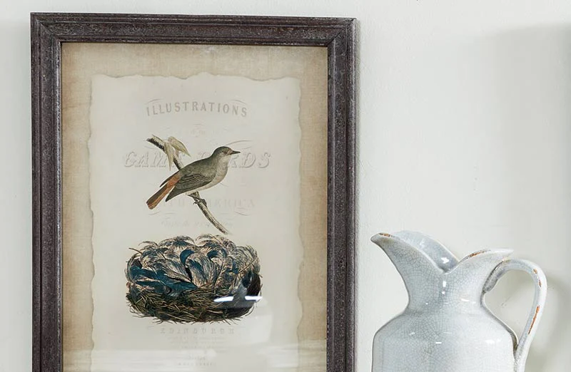 Wooden Framed Bird Artwork  Set of 2