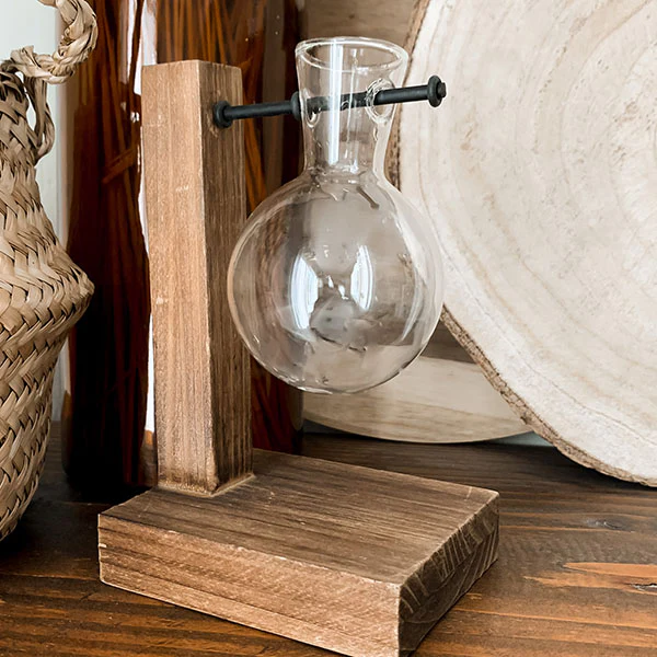 Rustic Bulb Bud Vase Propagation Station, Set of 2