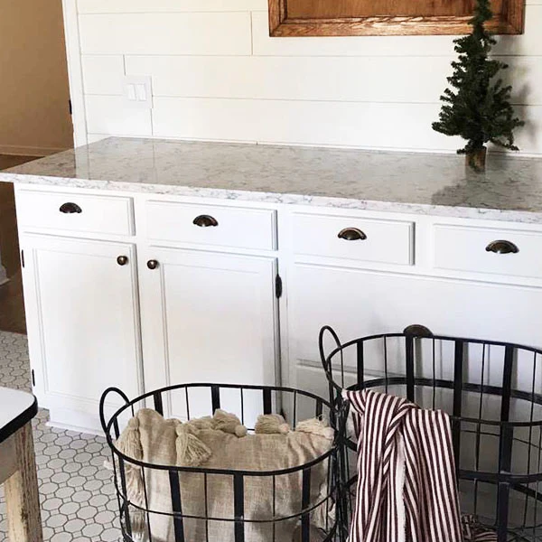 Metal Caged Rolling Storage Baskets, Set of 2