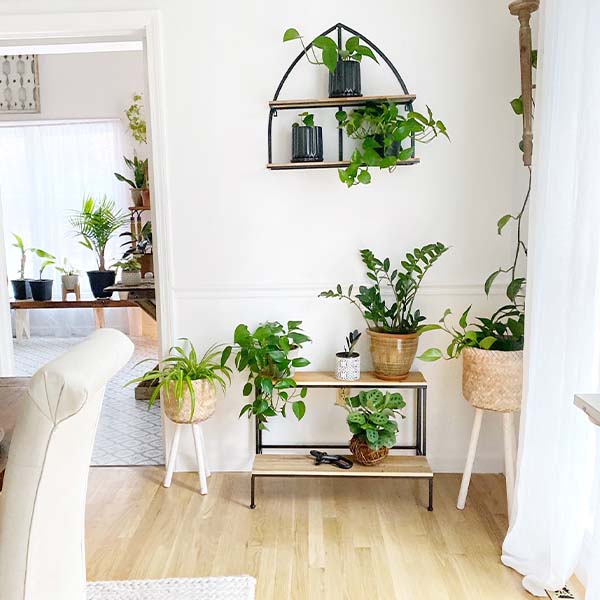 HUGE Utilitarian Tiered Display Stand