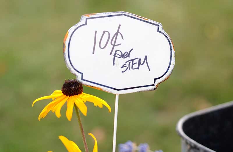 Vintage Enamel Garden Stakes  Set of 6