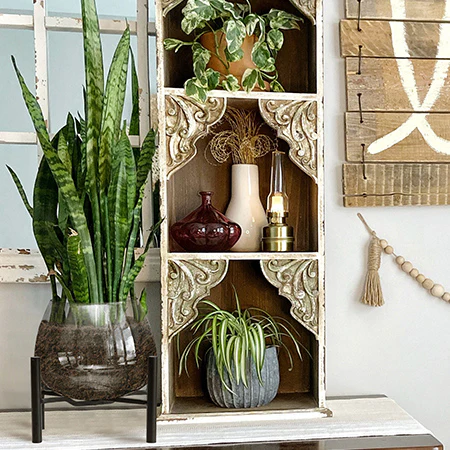 Glass Bulb Planter with Stand