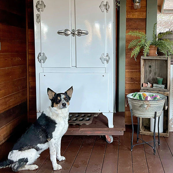 Removable Beverage Cooler on Stand with Bottle Opener