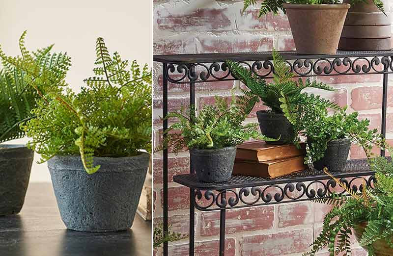 Potted Faux Ferns Set of 3