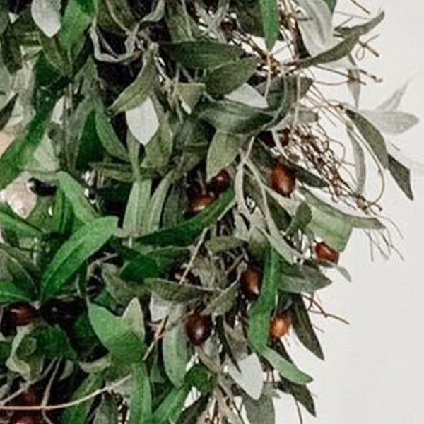 Gathered Olive and Twig Wreath