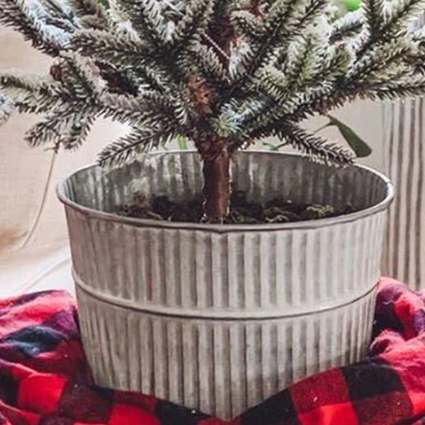 Flocked Winter Pine Tree in Galvanized Bucket