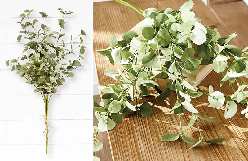 Lush Eucalyptus Bundle Set of 2