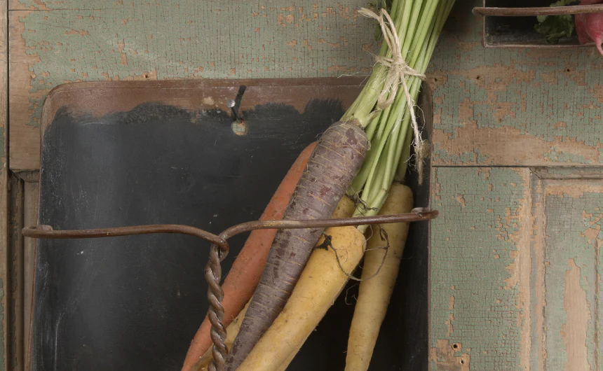 Wall Mounted Grain Feed Scoop Shelf  Set of 3