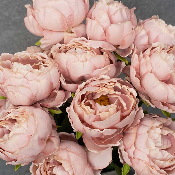 Soft Pink Peony Bundle, 12 Stems
