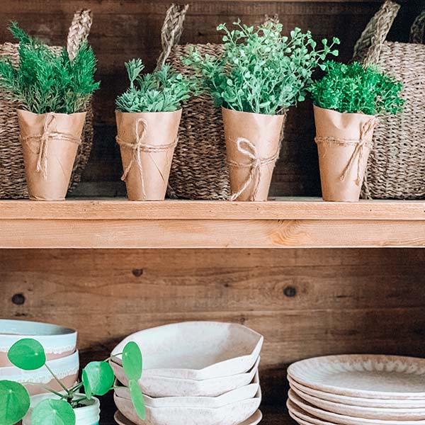 Faux Plants in Paper Wrapped Pots, Set of 4