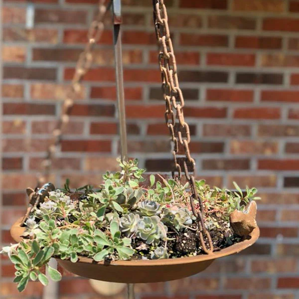 Hanging Bird Feeder With Bracket