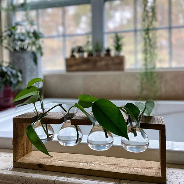 Rustic Wooden Hanging Propagation Station