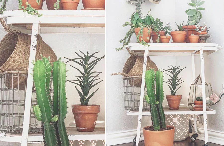 Distressed Metal Rolling Cart