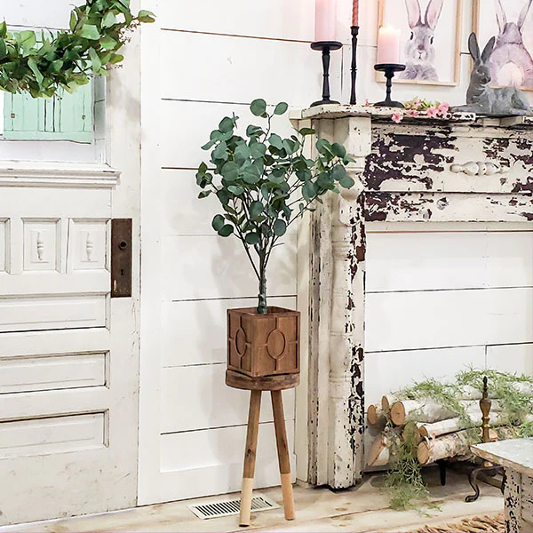 Steal It Box: Spring/Summer 2022 Edition- Eucalyptus Tree