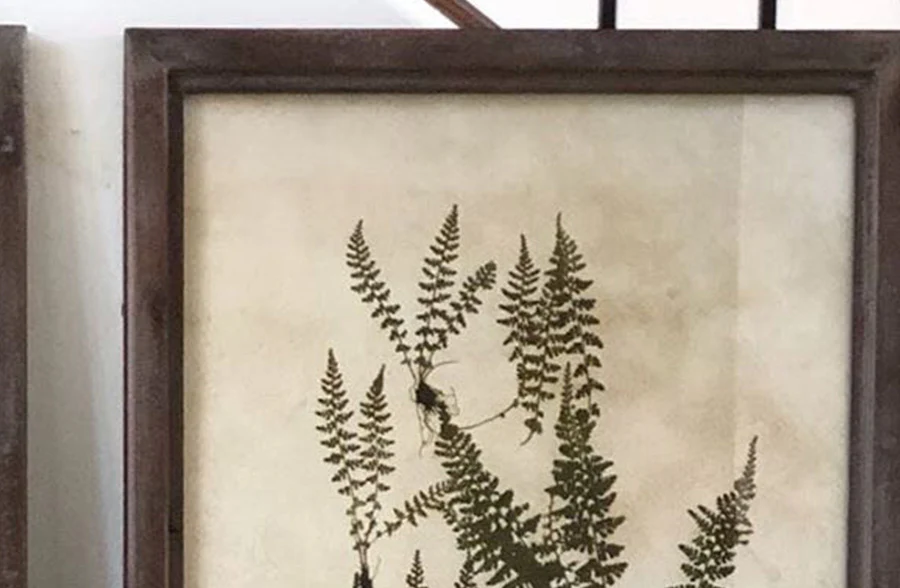 *HUGE* Wooden Framed Botanical Art  Set of 2