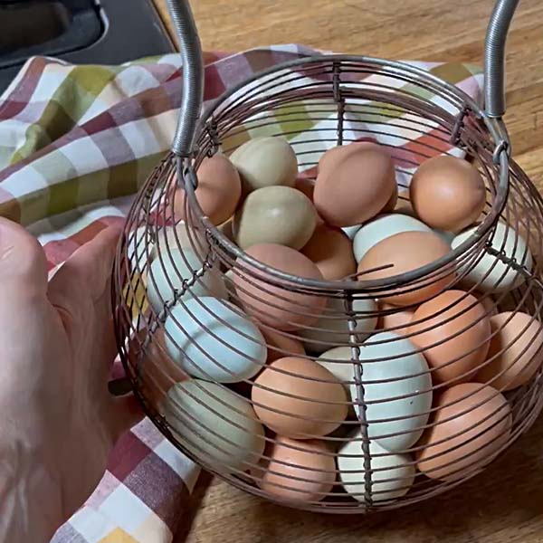 FOUND Metal Wire Egg Basket