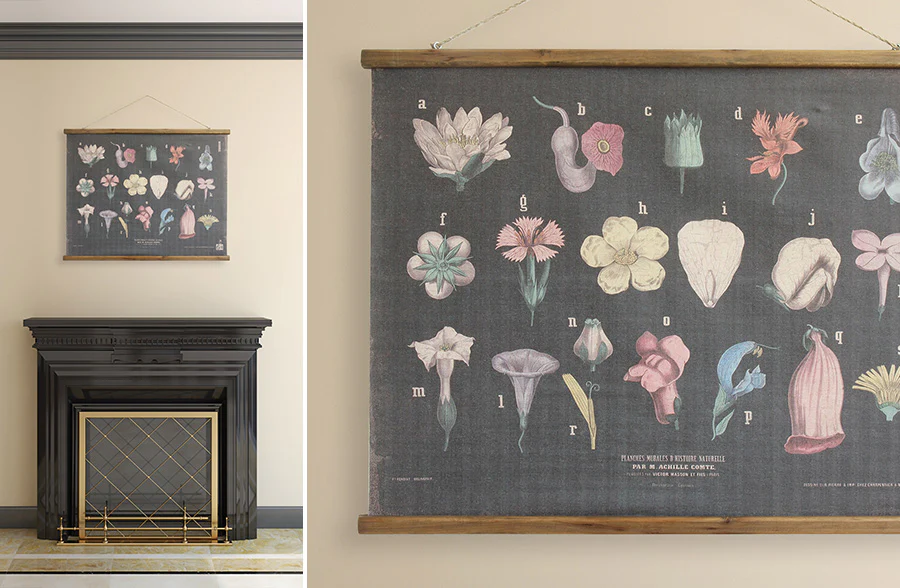 Botanicals Wall Canvas