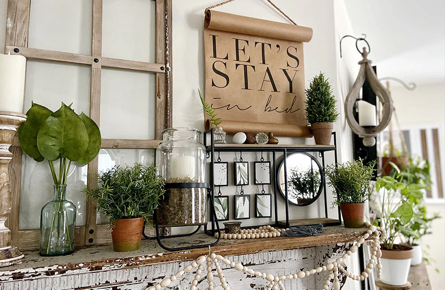 Philodendron Spray