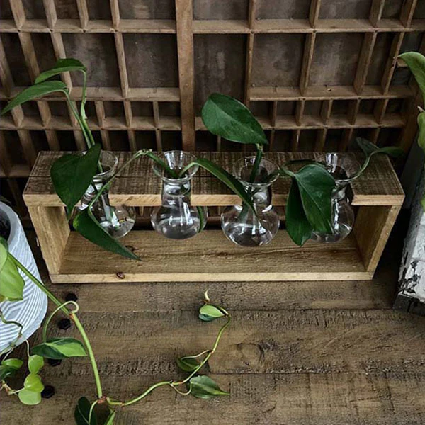 Rustic Wooden Hanging Propagation Station
