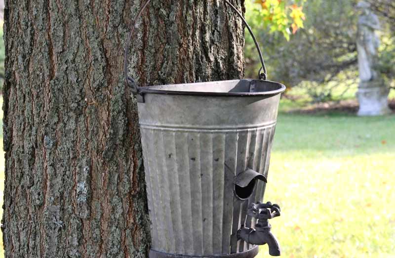 Half Bucket Birdhouse