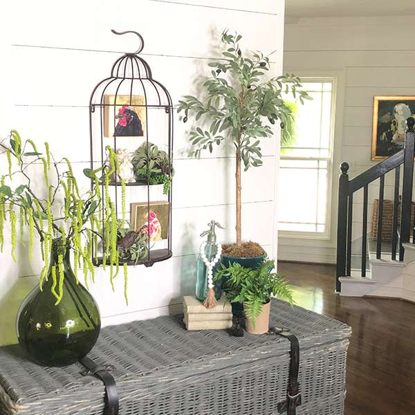 Rustic Bird Cage Wall Shelf