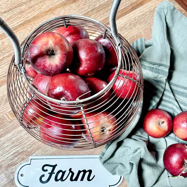 FOUND Metal Wire Egg Basket