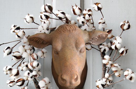 Preserved Cotton Wreath