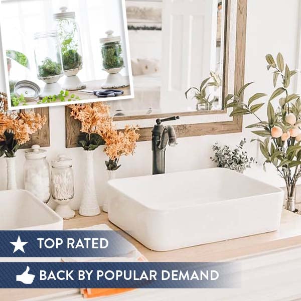 Distressed Glass Apothecary Canisters, Set of 3