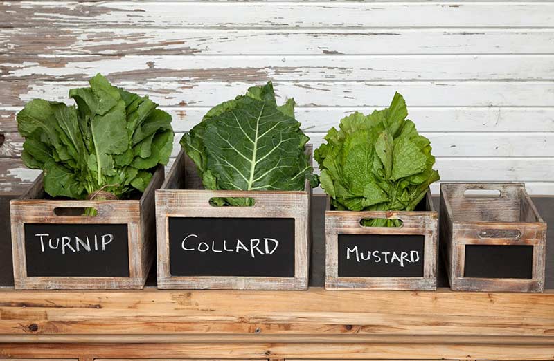 Blackboard Wooden Crates  Set of 4